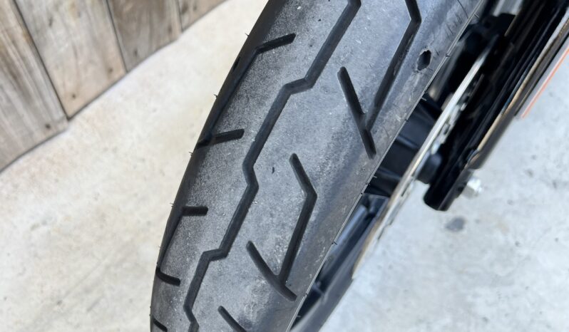 HARLEY DAVIDSON XL1200 IRON A2 lleno