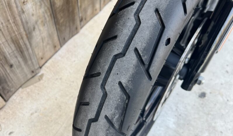 HARLEY DAVIDSON XL1200 IRON lleno