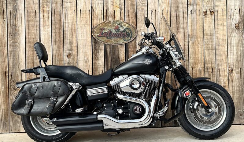 HARLEY DAVIDSON DYNA FAT BOB lleno
