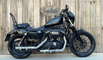 HARLEY DAVIDSON XL883 IRON A2 lleno
