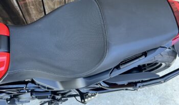 INDIAN FTR1200 lleno