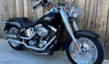 HARLEY DAVIDSON FAT BOY lleno