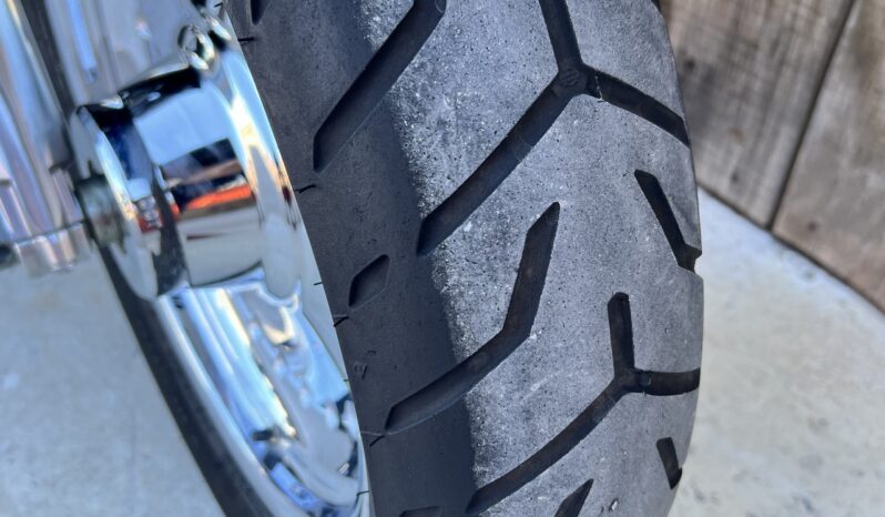 HARLEY DAVIDSON FAT BOY lleno
