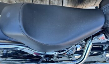 HARLEY DAVIDSON FAT BOY lleno
