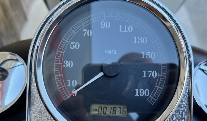 HARLEY DAVIDSON FAT BOY lleno