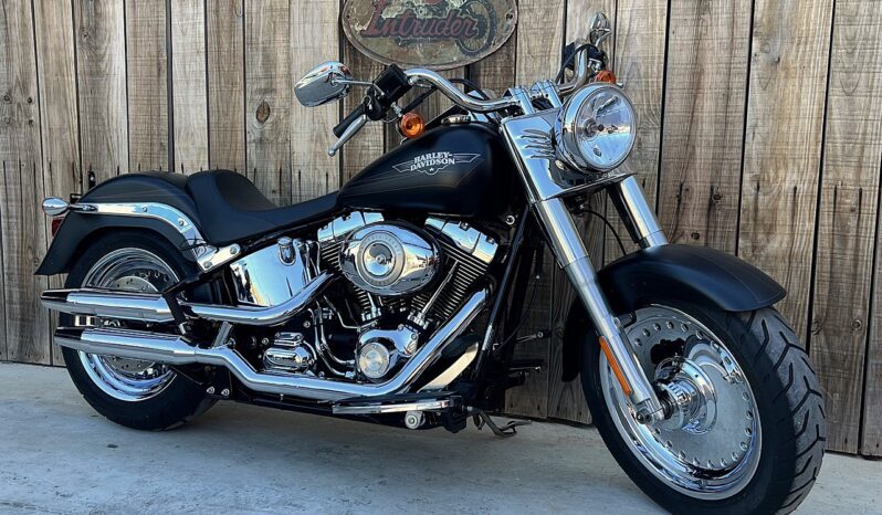 HARLEY DAVIDSON FAT BOY lleno