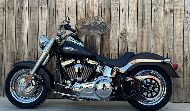 HARLEY DAVIDSON FAT BOY lleno