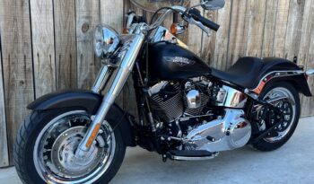 HARLEY DAVIDSON FAT BOY lleno