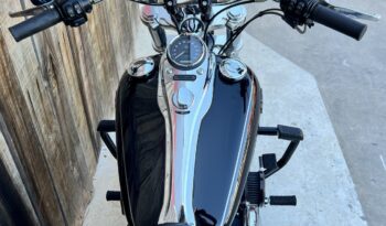 HARLEY DAVIDSON DYNA WIDE GLIDE lleno