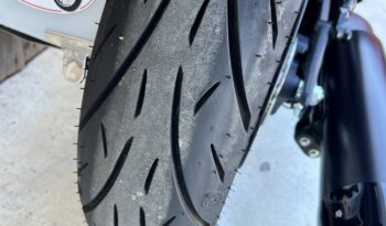 INDIAN SCOUT 1250 101 lleno