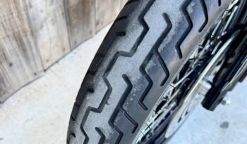 HARLEY DAVIDSON XL1200 NIGHTSTER lleno