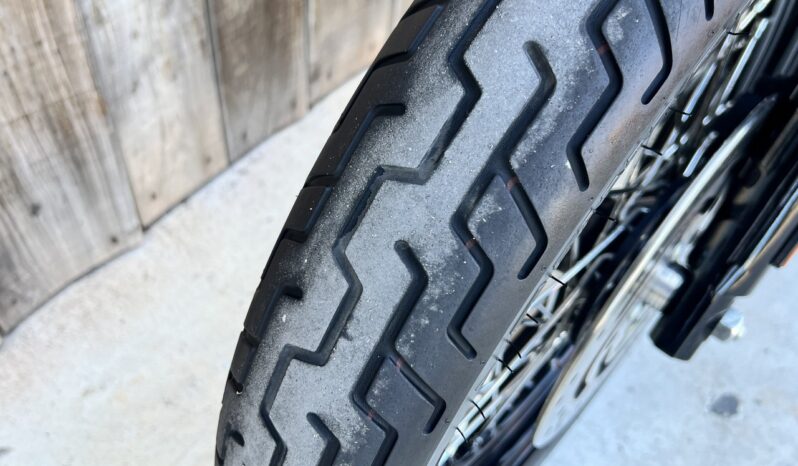 HARLEY DAVIDSON XL1200 NIGHTSTER lleno