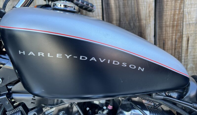 HARLEY DAVIDSON XL1200 NIGHTSTER lleno