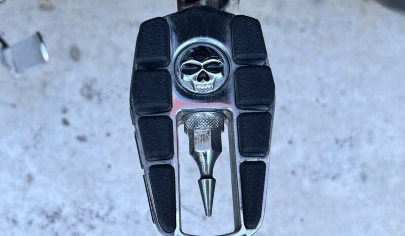 HARLEY DAVIDSON XL1200 NIGHTSTER lleno