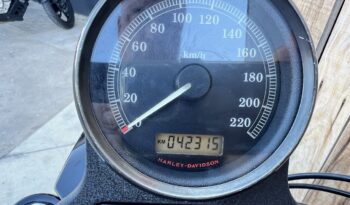 HARLEY DAVIDSON XL1200 NIGHTSTER lleno