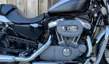 HARLEY DAVIDSON XL1200 NIGHTSTER lleno