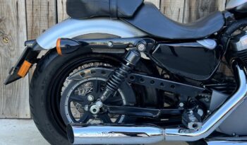 HARLEY DAVIDSON XL1200 NIGHTSTER lleno