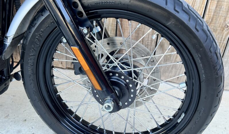 HARLEY DAVIDSON XL1200 NIGHTSTER lleno