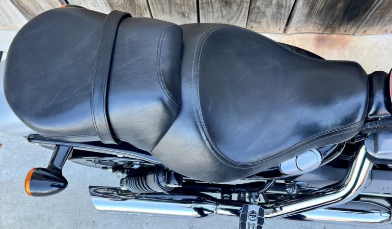 HARLEY DAVIDSON XL1200 NIGHTSTER lleno