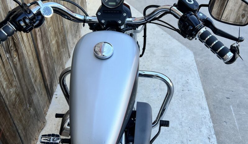 HARLEY DAVIDSON XL1200 NIGHTSTER lleno