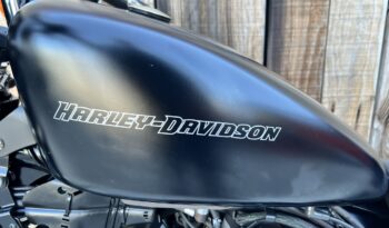 HARLEY DAVIDSON XL883 IRON A2 lleno