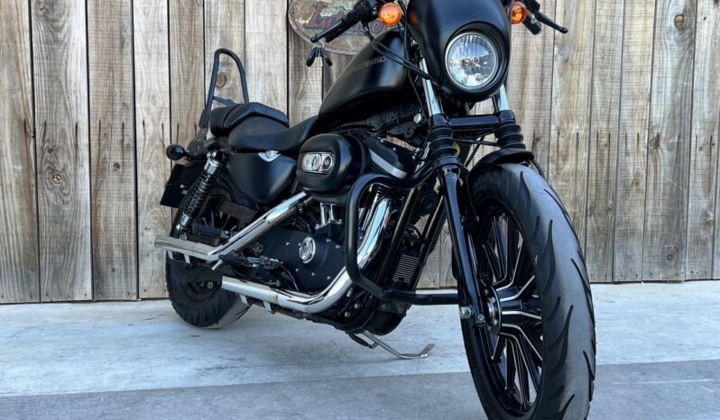 HARLEY DAVIDSON XL883 IRON A2 lleno