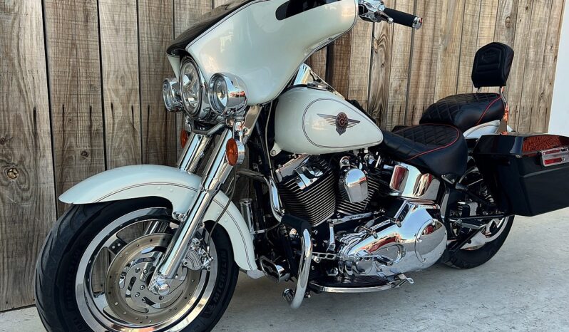 HARLEY DAVIDSON FAT BOY CARB lleno