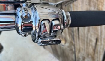 HARLEY DAVIDSON FAT BOY CARB lleno