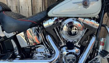 HARLEY DAVIDSON FAT BOY CARB lleno