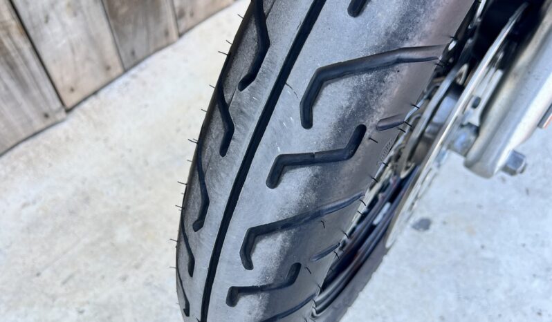 HARLEY DAVIDSON DYNA STREET BOB lleno