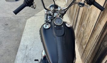 HARLEY DAVIDSON DYNA STREET BOB lleno