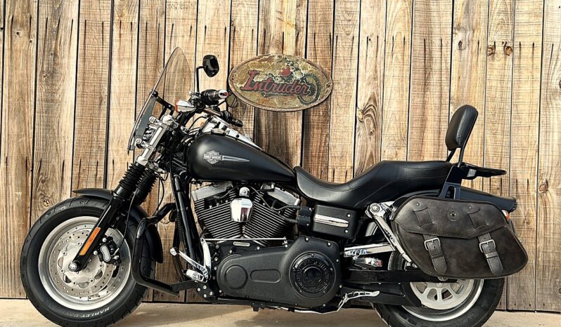 HARLEY DAVIDSON DYNA FAT BOB lleno