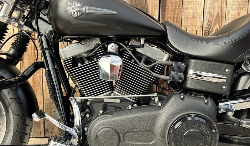 HARLEY DAVIDSON DYNA FAT BOB lleno
