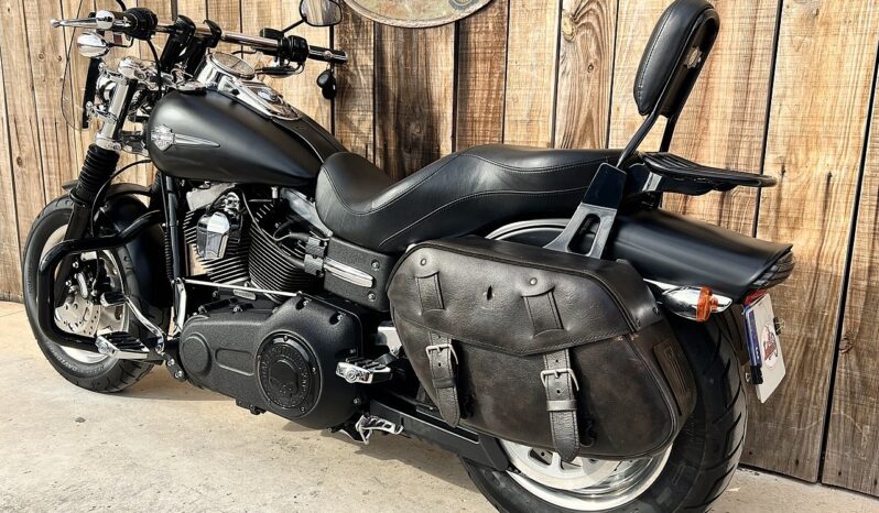 HARLEY DAVIDSON DYNA FAT BOB lleno