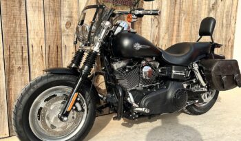 HARLEY DAVIDSON DYNA FAT BOB lleno