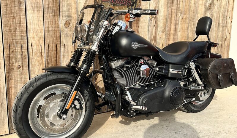 HARLEY DAVIDSON DYNA FAT BOB lleno