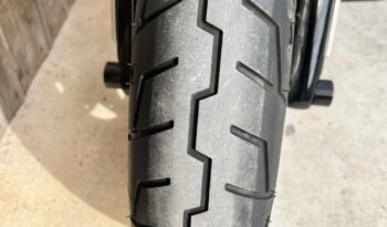 HARLEY DAVIDSON DYNA FAT BOB lleno