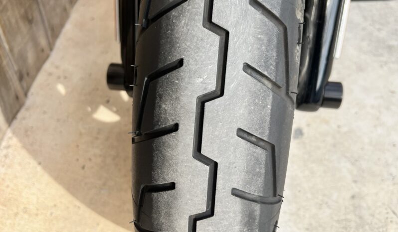 HARLEY DAVIDSON DYNA FAT BOB lleno