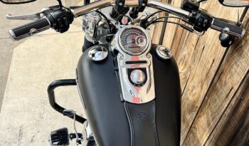 HARLEY DAVIDSON DYNA FAT BOB lleno