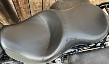 HARLEY DAVIDSON DYNA FAT BOB lleno