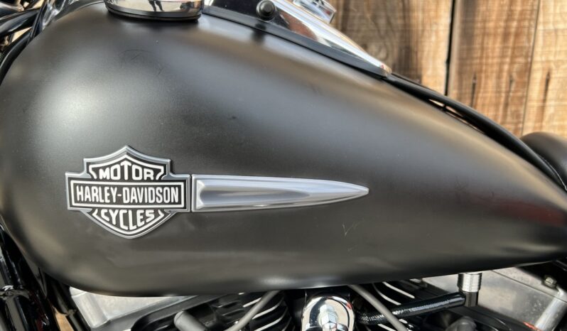 HARLEY DAVIDSON DYNA FAT BOB lleno