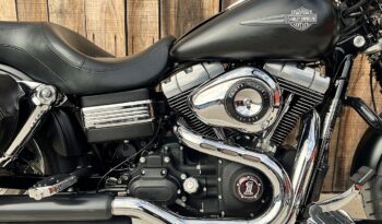 HARLEY DAVIDSON DYNA FAT BOB lleno
