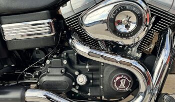 HARLEY DAVIDSON DYNA FAT BOB lleno