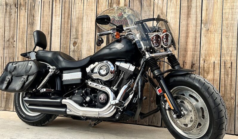 HARLEY DAVIDSON DYNA FAT BOB lleno