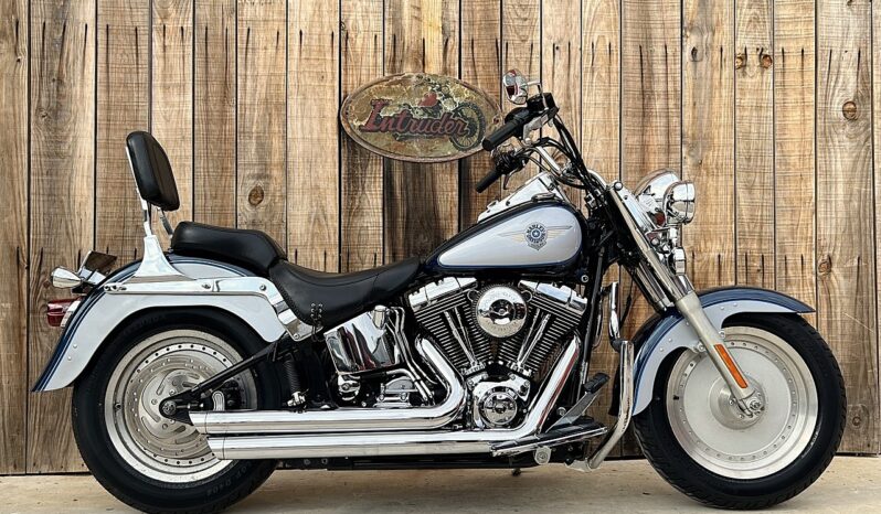 HARLEY DAVIDSON FAT BOY lleno