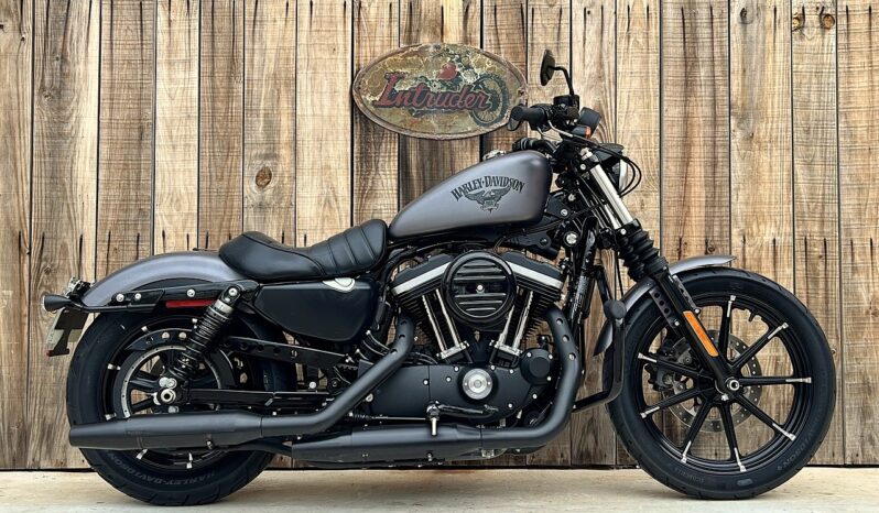 HARLEY DAVIDSON XL883 IRON lleno