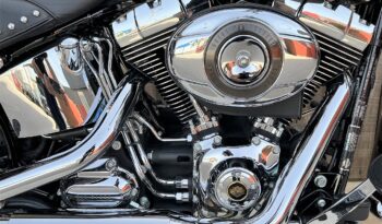 HARLEY DAVIDSON HERITAGE SOFTAIL CLASSIC 110TH lleno