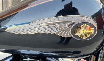 HARLEY DAVIDSON HERITAGE SOFTAIL CLASSIC 110TH lleno