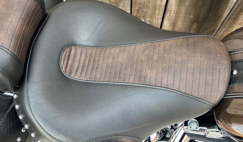 HARLEY DAVIDSON HERITAGE SOFTAIL CLASSIC 110TH lleno