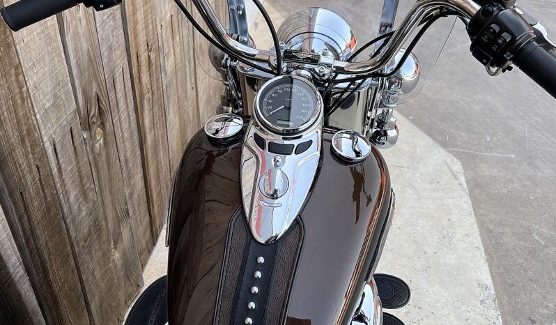 HARLEY DAVIDSON HERITAGE SOFTAIL CLASSIC 110TH lleno